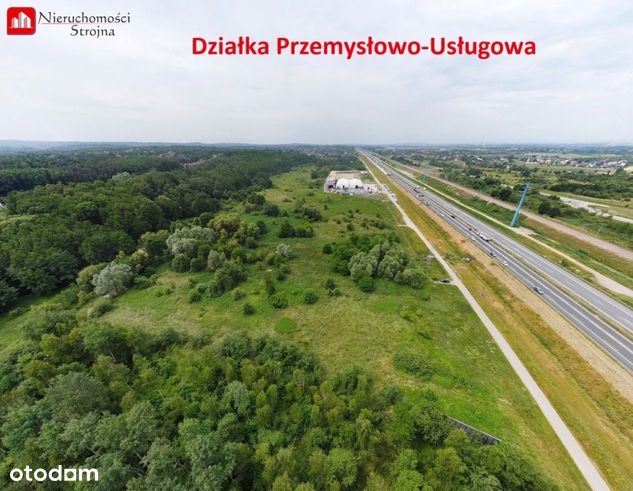 Duża- 189a, Płaska działka Przemysłowo-Usługowa