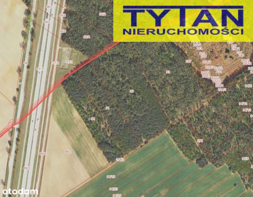 Las do sprzedania.-0