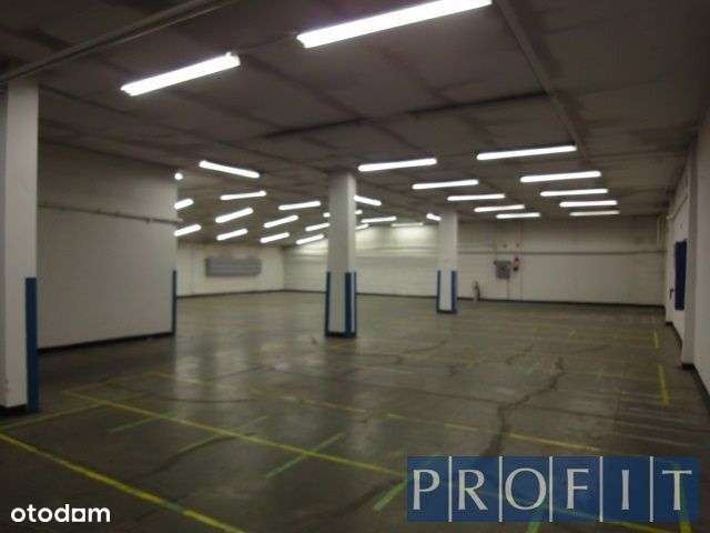 działka o pow. 4000m2 hala 830m2-6