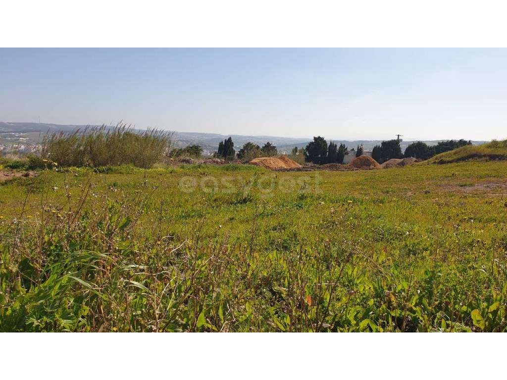 Lote (396m2) Montoito - Atalaia - A 3 minutos Praia e vila da Lourinhã - Grande imagem: 5/11