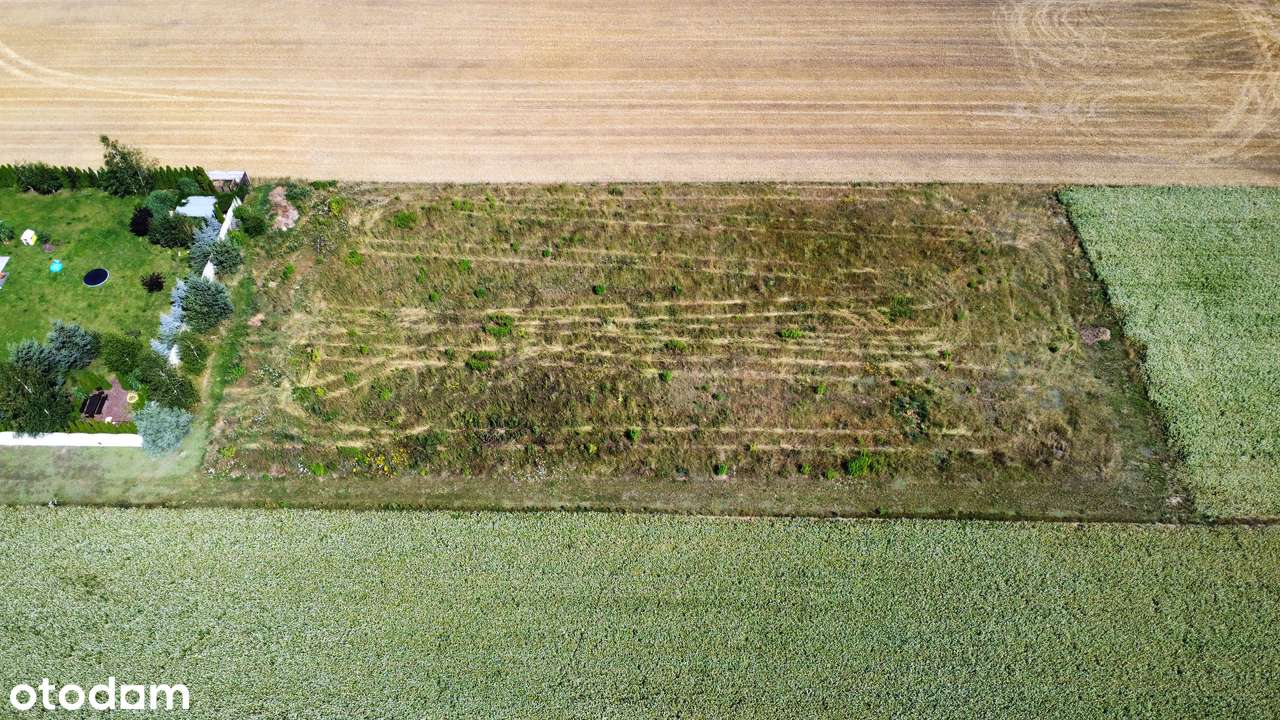 Szeroka! 90m x 35m! Idealna do podziału! Widokowa! BUDOWLANA !! - Pełny obrazek: 5/8