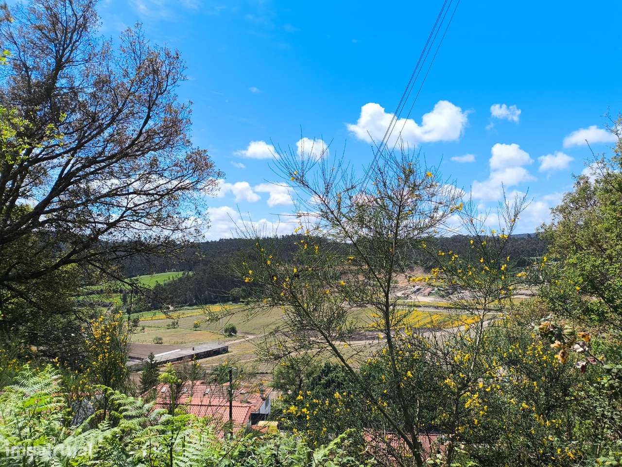 Terreno  Venda em Abade de Neiva,Barcelos-10