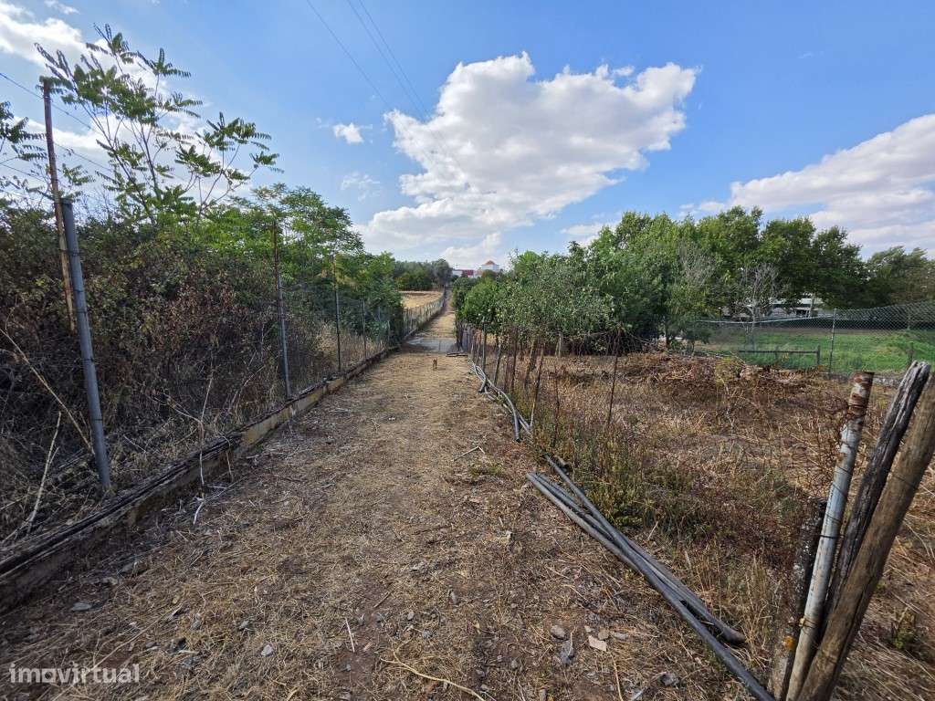 Moradia T3 em Vila Viçosa, com garagem, inserida em lote de 3500 m2-26
