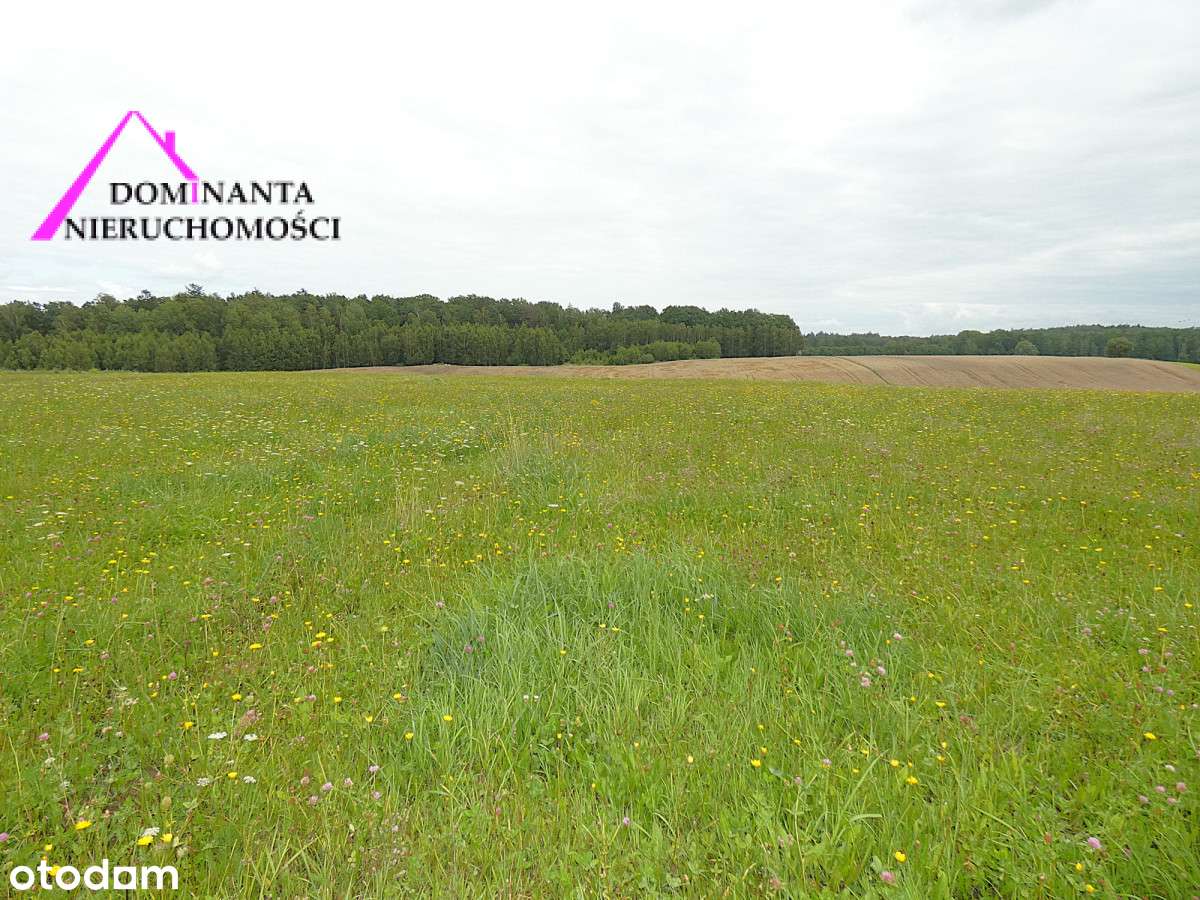 Działki rolne blisko lasu na Mazurach, 10 ha.-9