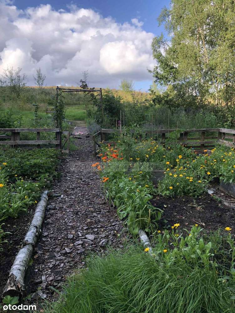 Cisza i prywatność, ogród ekologiczny Kaszuby - Pełny obrazek: 4/13