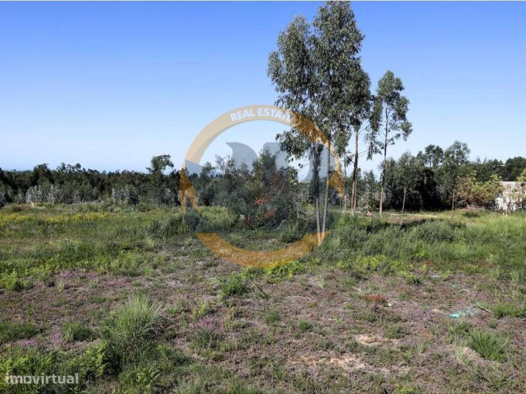 Terreno Santa Maria da Feira - Grande imagem: 3/7