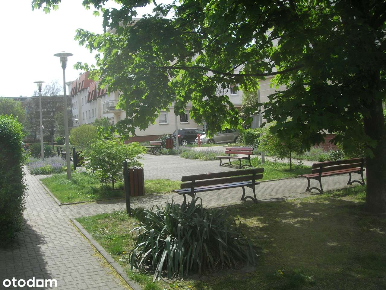 Monitoring ochrona rozkład wysoki standard media miejskie-10