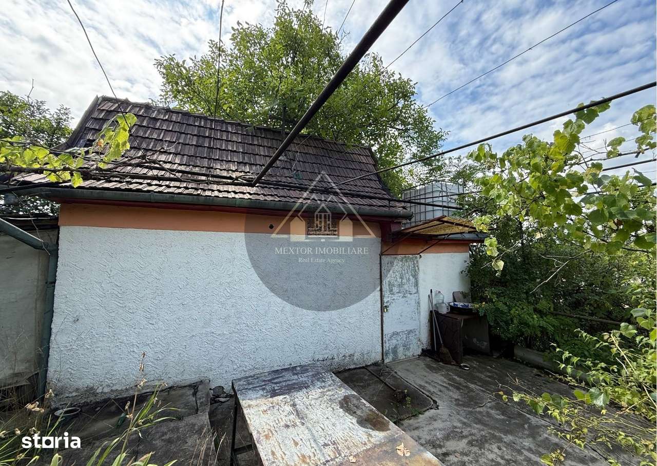 Teren Wewern, Medias - Imagine principală: 4/6