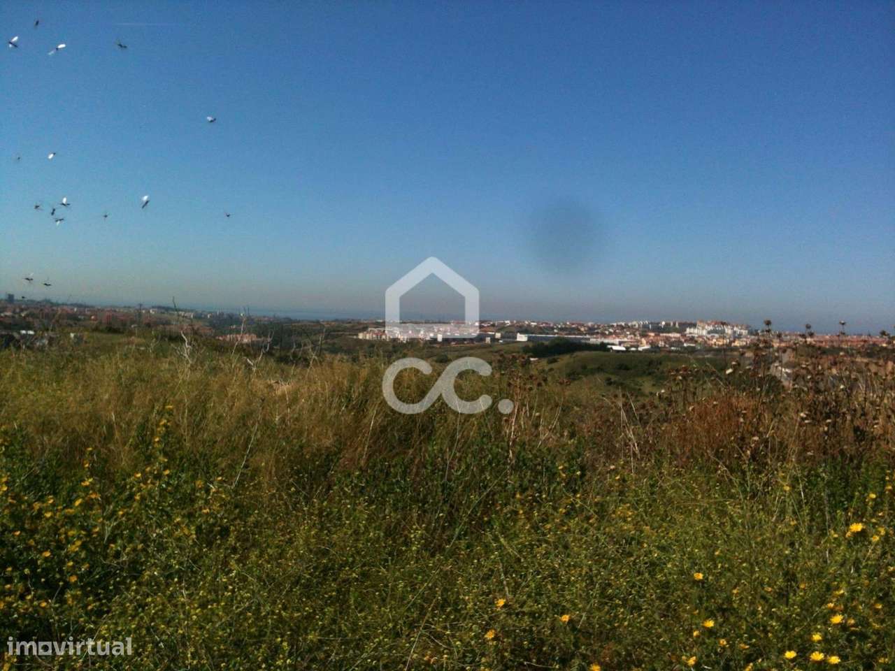 Terreno Misto com Vista Mar e Serra-5