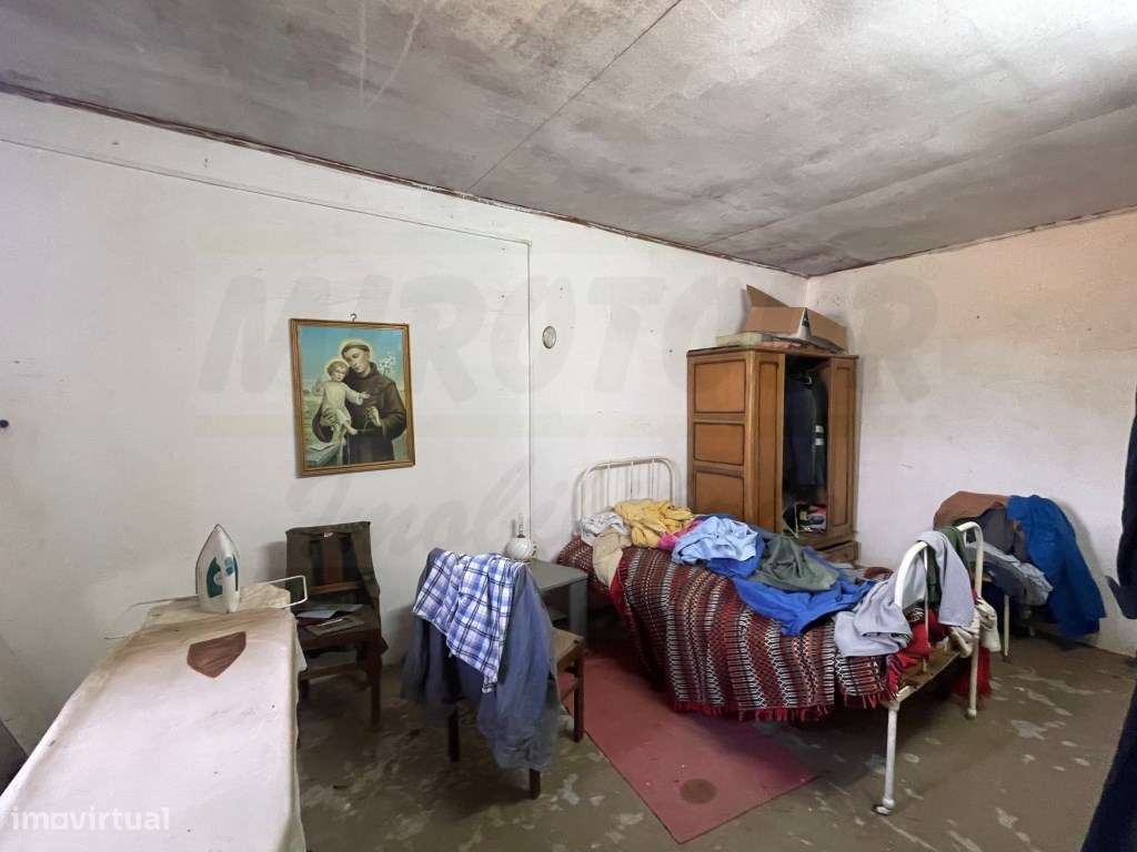 HERDADE COM 100 HECTARES E BASTANTE ARBORIZAÇÃO-29