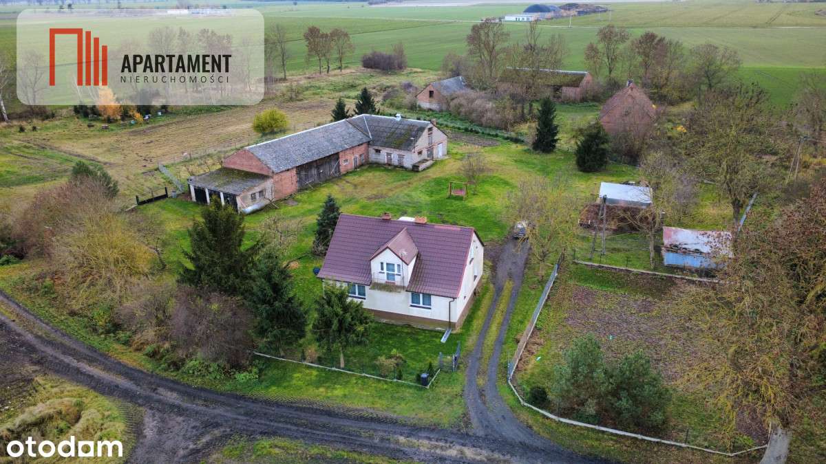 Dom z zabudowaniami na działce 1,24 ha - Pełny obrazek: 3/20