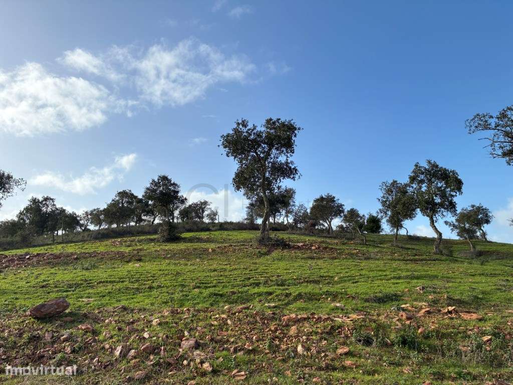 Herdade com moradia para recuperar [ barragem e ribeiro ] - Grande imagem: 4/54