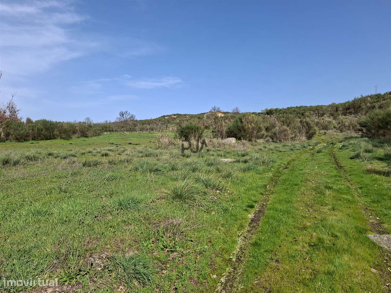 Quinta com 2Ha em Vila Cortês da Serra, Gouveia-22