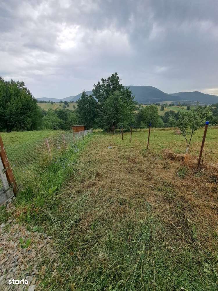 Teren intravilan 1000 mp - Imagine principală: 5/6