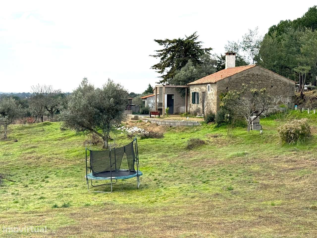 Quinta T1 Venda em Escalos de Cima e Lousa,Castelo Branco - Grande imagem: 3/55