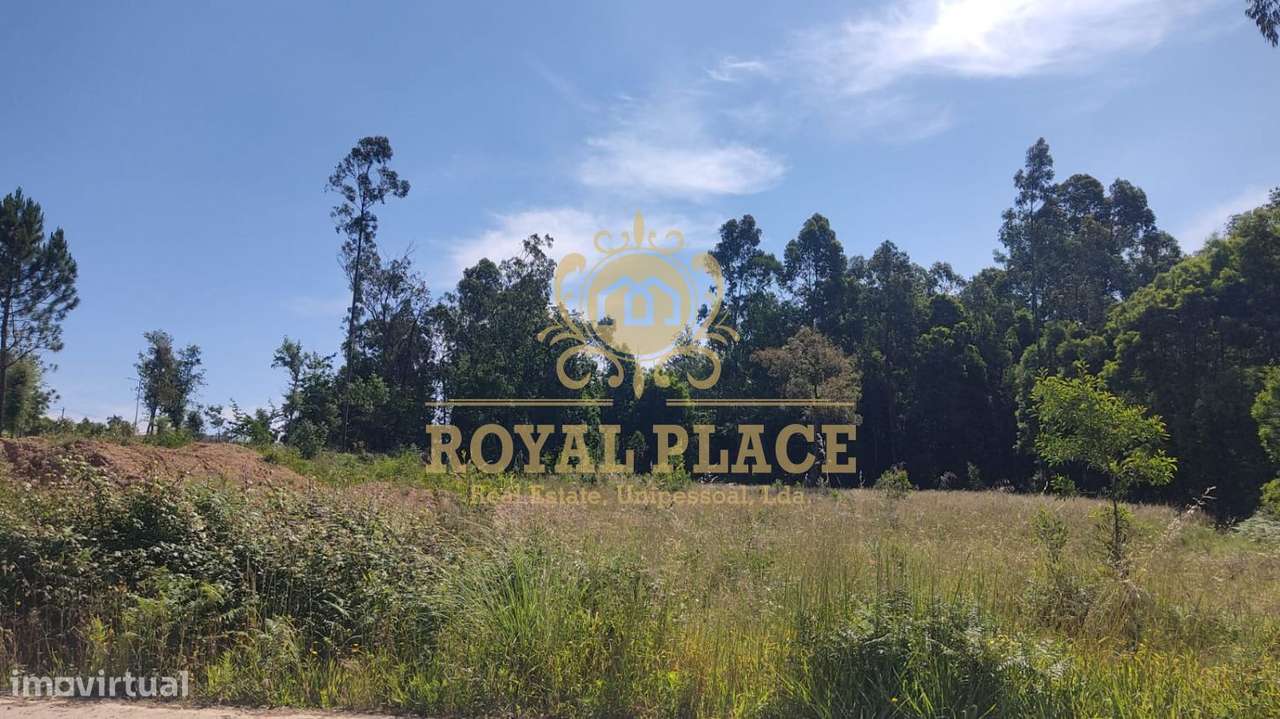 Terreno com 1200m2 em Santa Maria da Feira - Grande imagem: 5/6