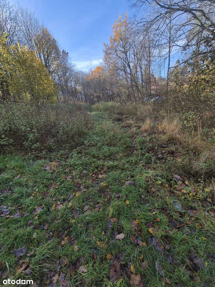 Działka Budowlana Bielsko-Biała - Pełny obrazek: 4/4