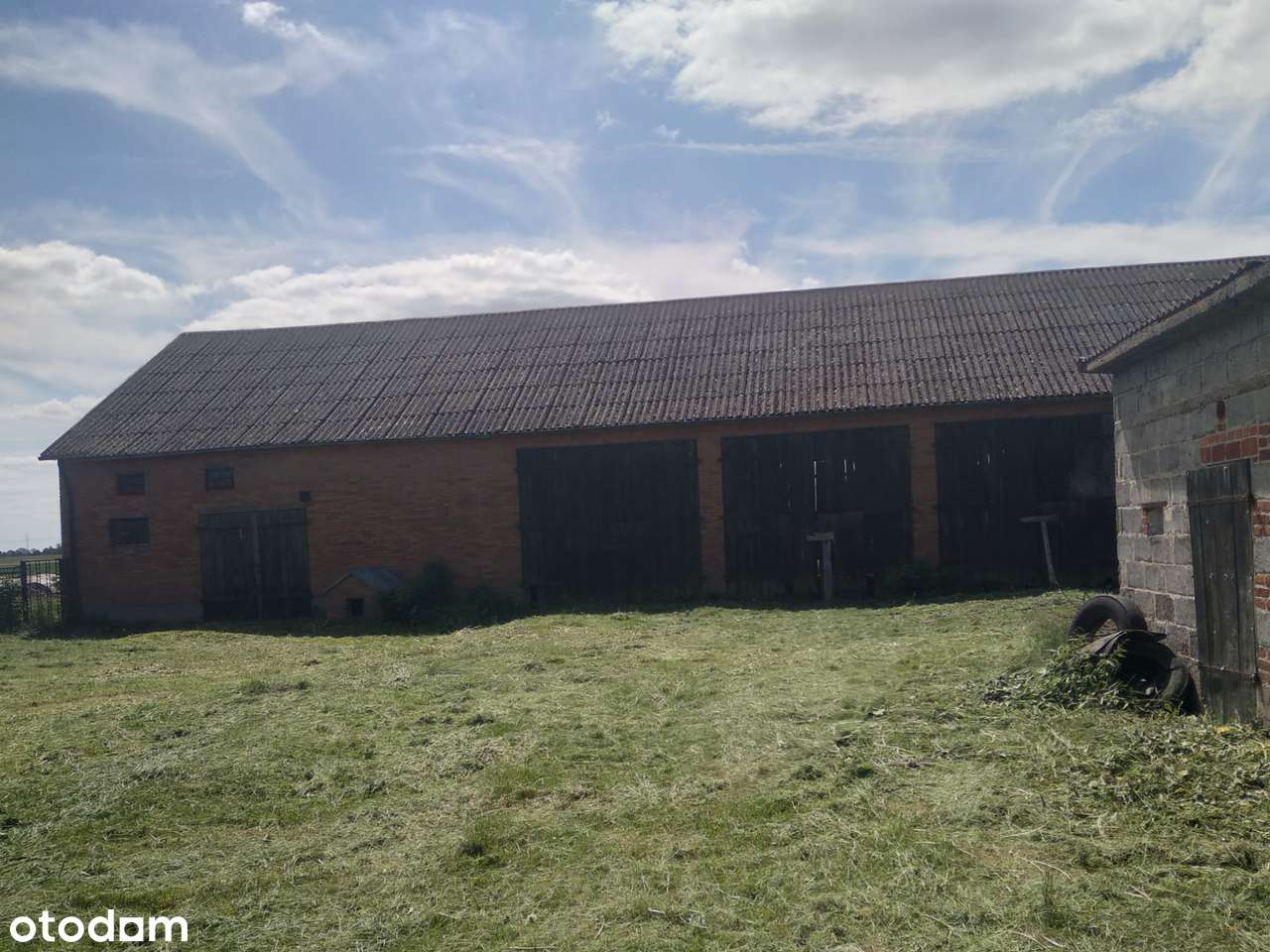 Sprzedam siedlisko (dom i budynki gospodarcze) REZERWACJA - Pełny obrazek: 5/7