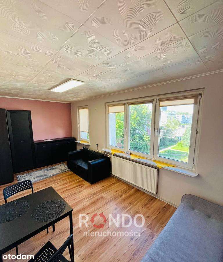 kawalerka do wynajęcia (Centrum) - Pełny obrazek: 5/5