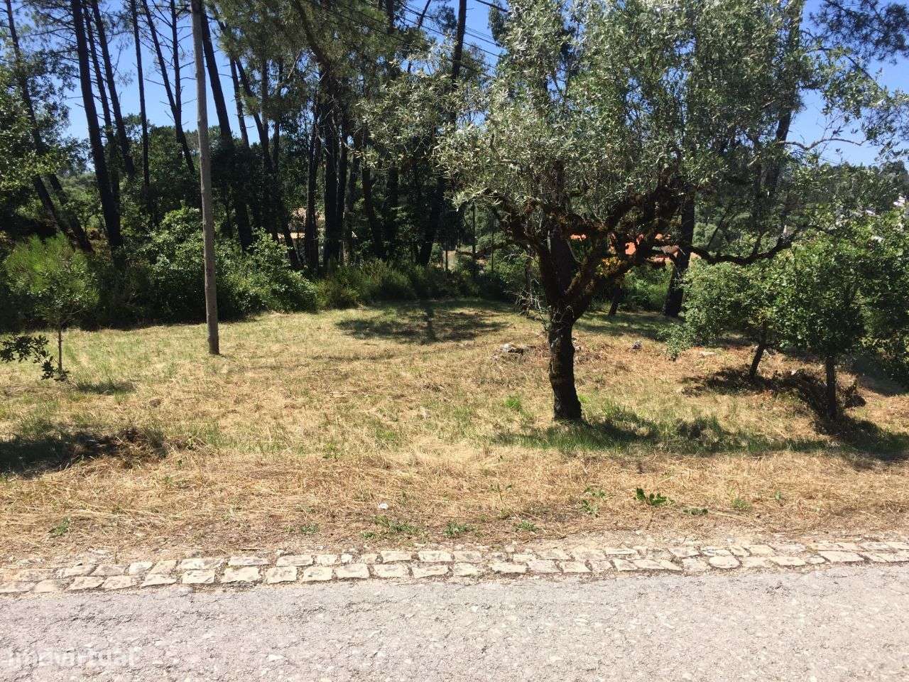 Terreno Para Construção em São Mamede - Grande imagem: 2/6