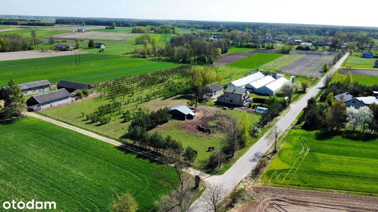 Ferma drobiu na sprzedaż, gospodarstwo z domem i dużą działką - Pełny obrazek: 4/17