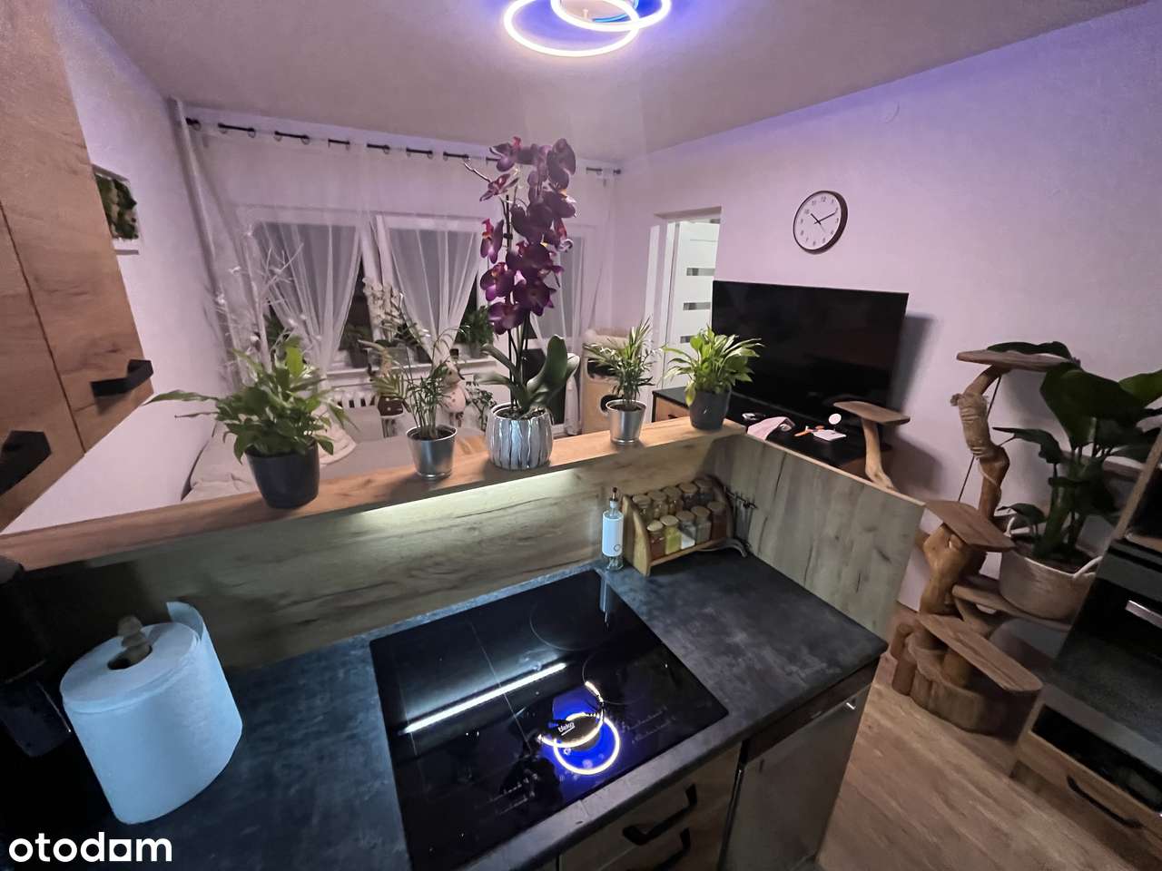 3 pok z balkonem po kapitalnym remoncie na I piętrze z wyposażeniem!-2