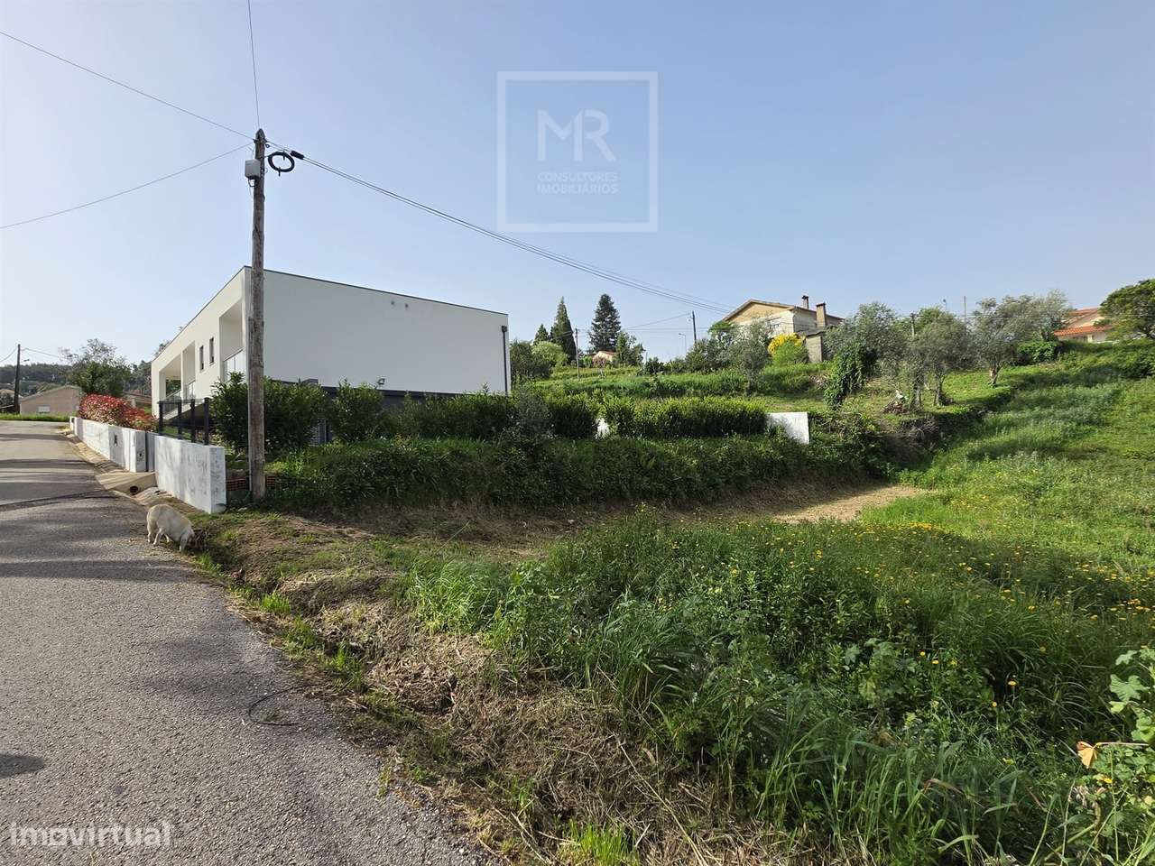 Terreno Para Construção  Venda em Luso,Mealhada-3