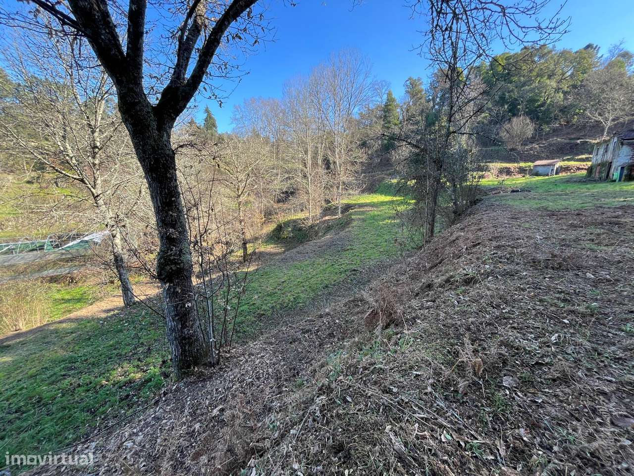 TERRENO COM RUINA LUGAR DE MOGAS - Grande imagem: 5/22