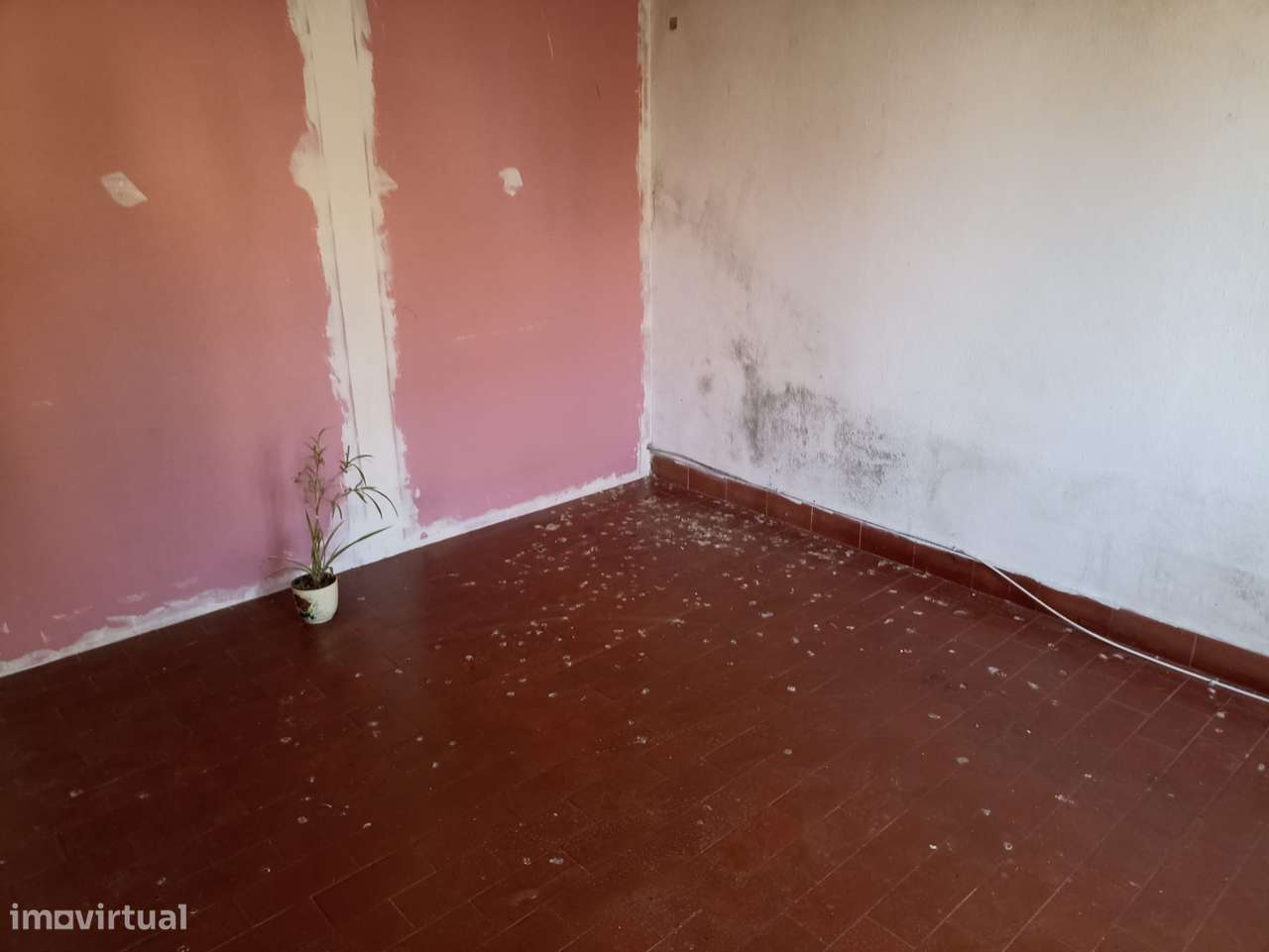 Moradia T2 para remodelar com logradouro junto da Chamusca - Grande imagem: 2/5