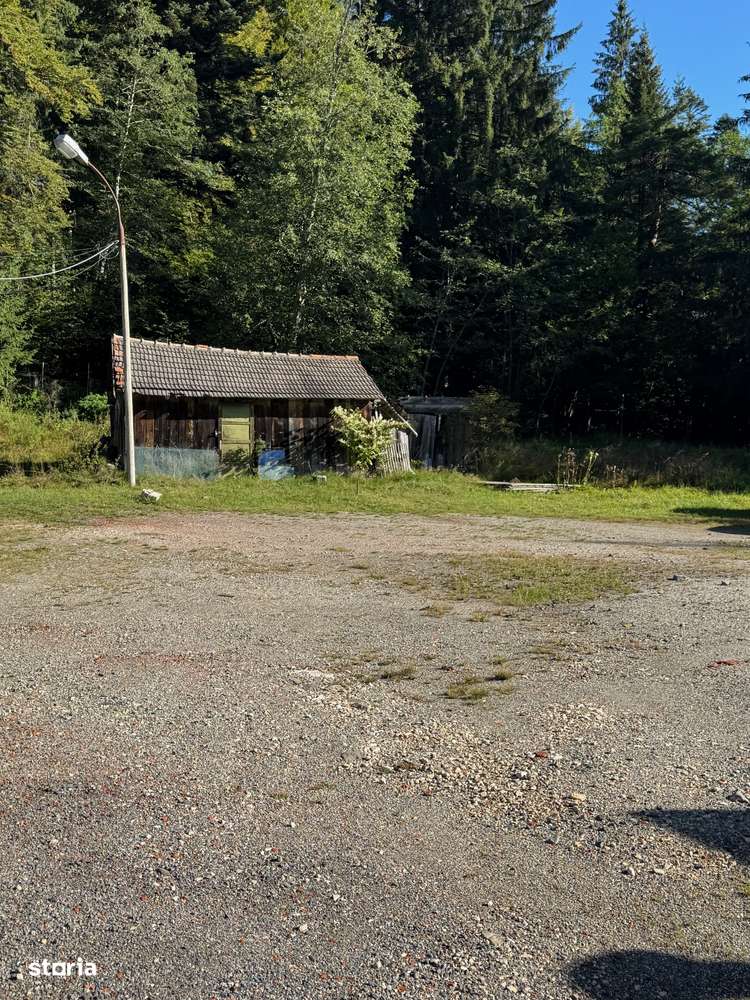 Teren Predeal Central-1