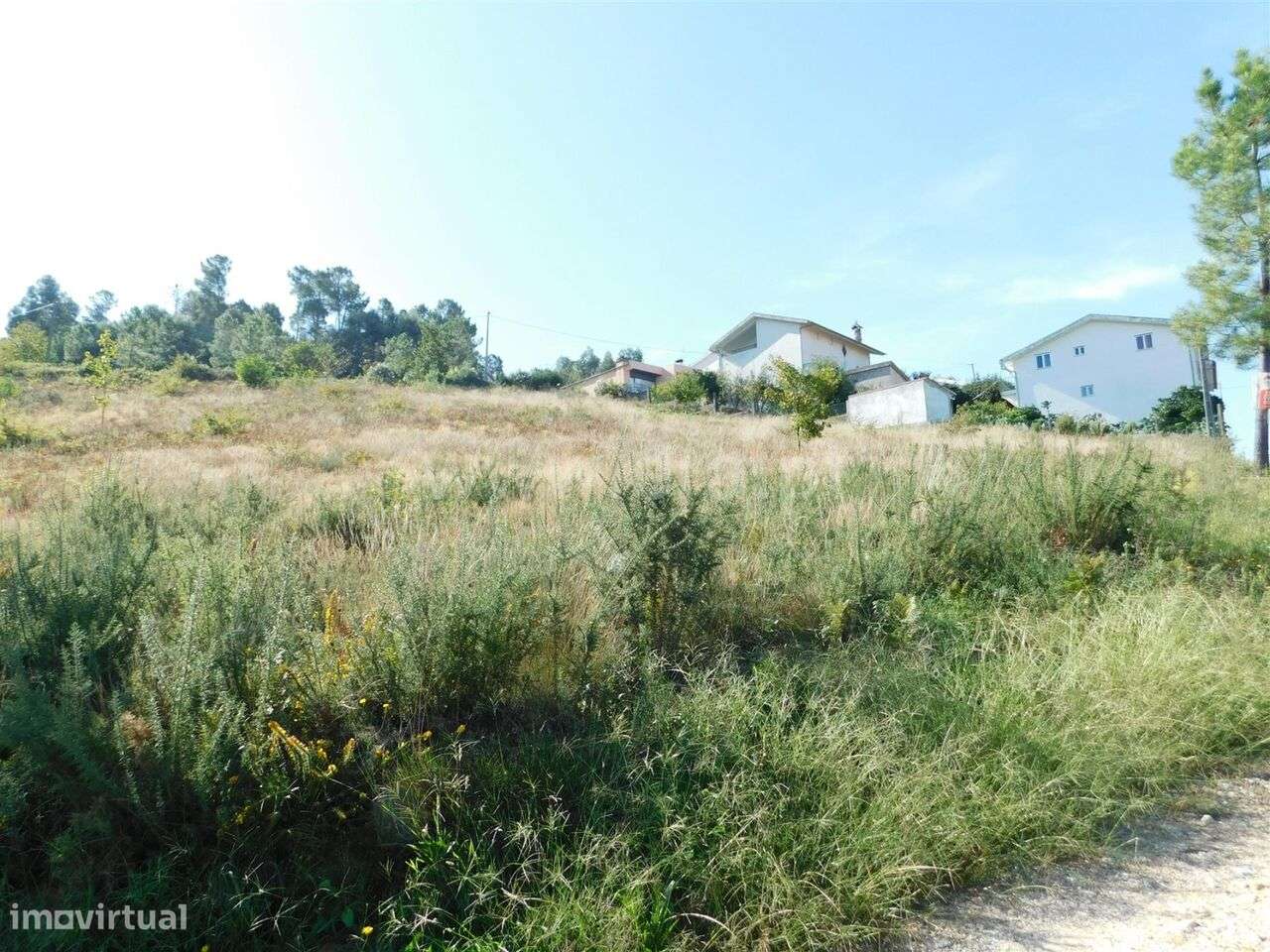 Terreno / Seia, Seia, São Romão e Lapa dos Dinheiros - Grande imagem: 4/4