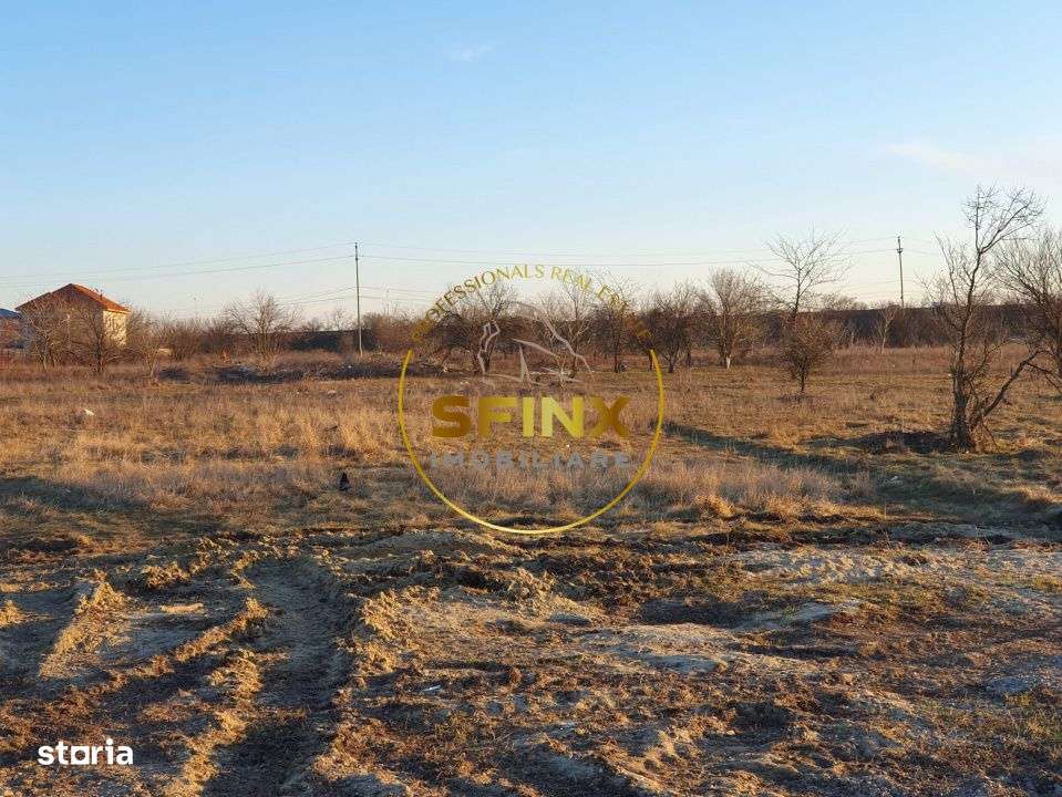 Teren intravilan | Soseaua Alexandriei | 5000mp | posibilitate 20.000m-8