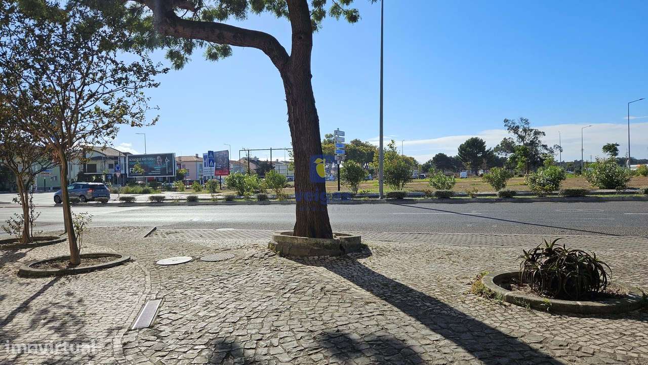 Loja de Rua em Zona de Grande Movimento – Oportunidade Única! - Grande imagem: 5/24