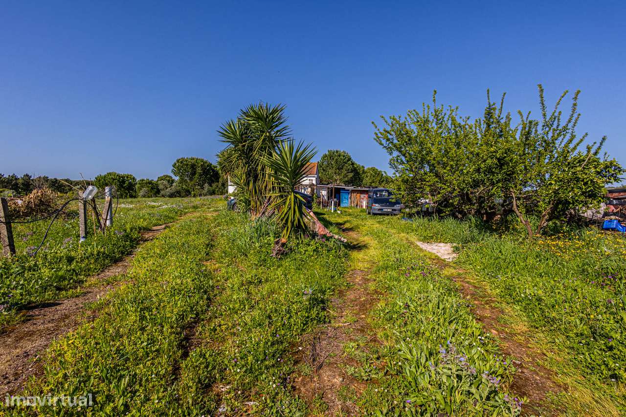 Apresento terreno agrícola com apoio habitacional T2 no Cartaxo-20