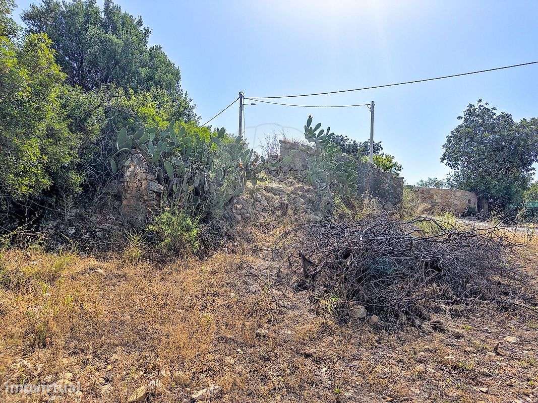 Terreno  para venda-5