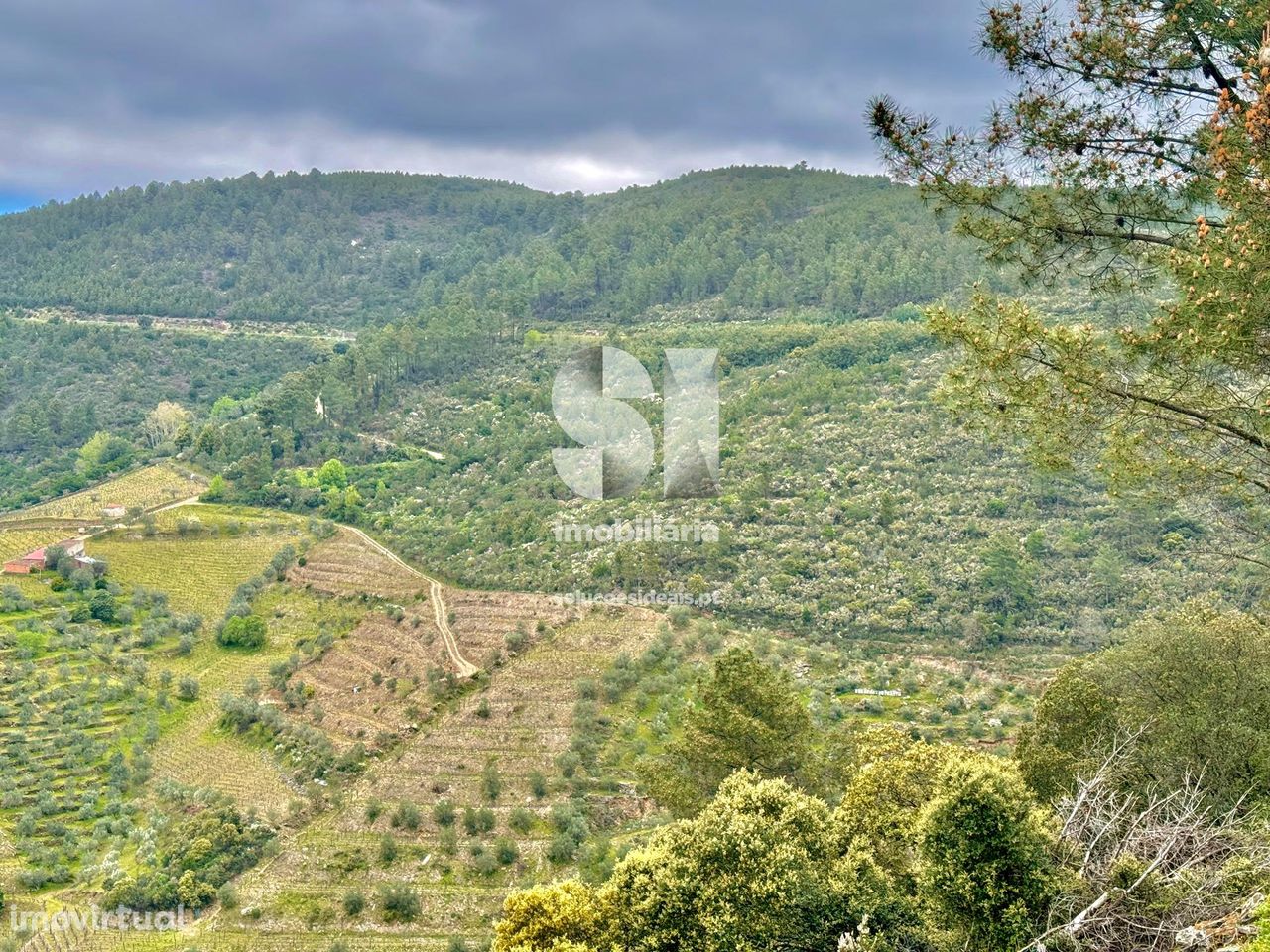 Terreno em Gouvinhas