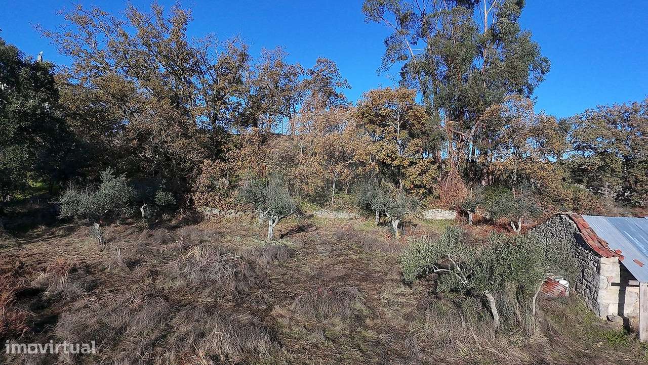 Terreno  para venda - Grande imagem: 5/7