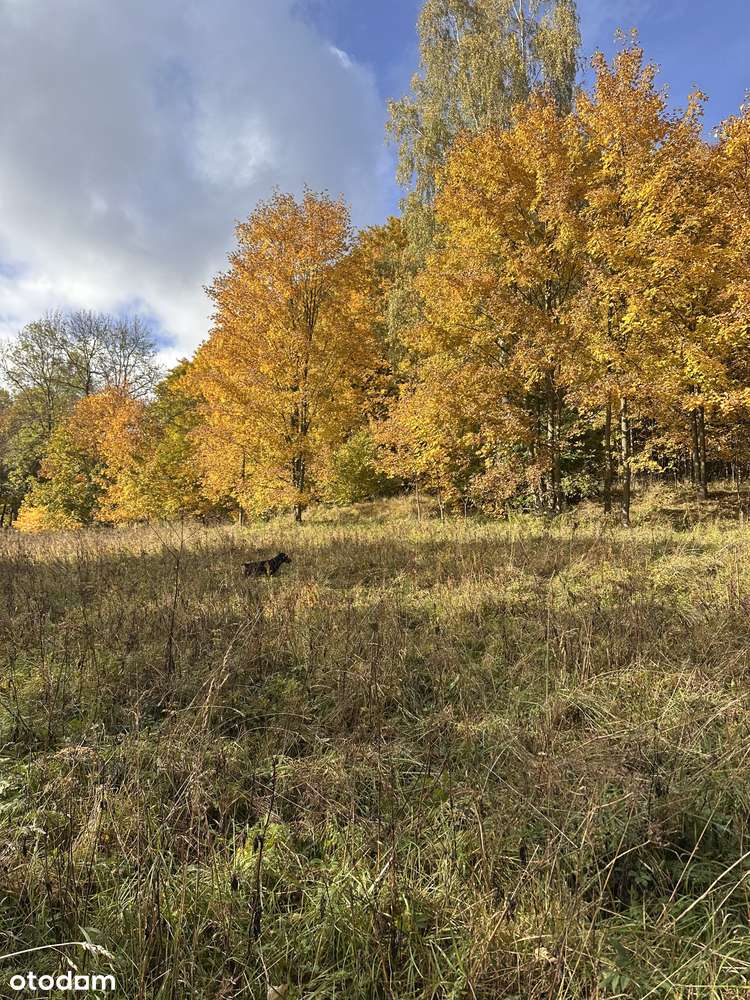 Działka w górach z decyzją o warunkach zabudowy, okolice Karpacza-1