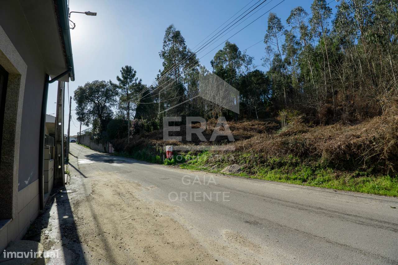 Terreno 1500 m² em Sanguedo-2