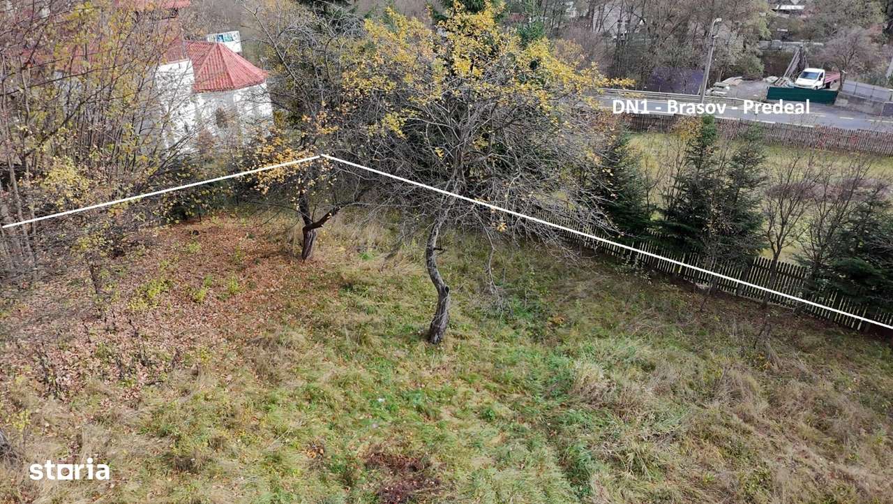Comision 0 %, teren intravilan 2000 mp, Timisu de Sus, Brasov - Imagine principală: 5/20