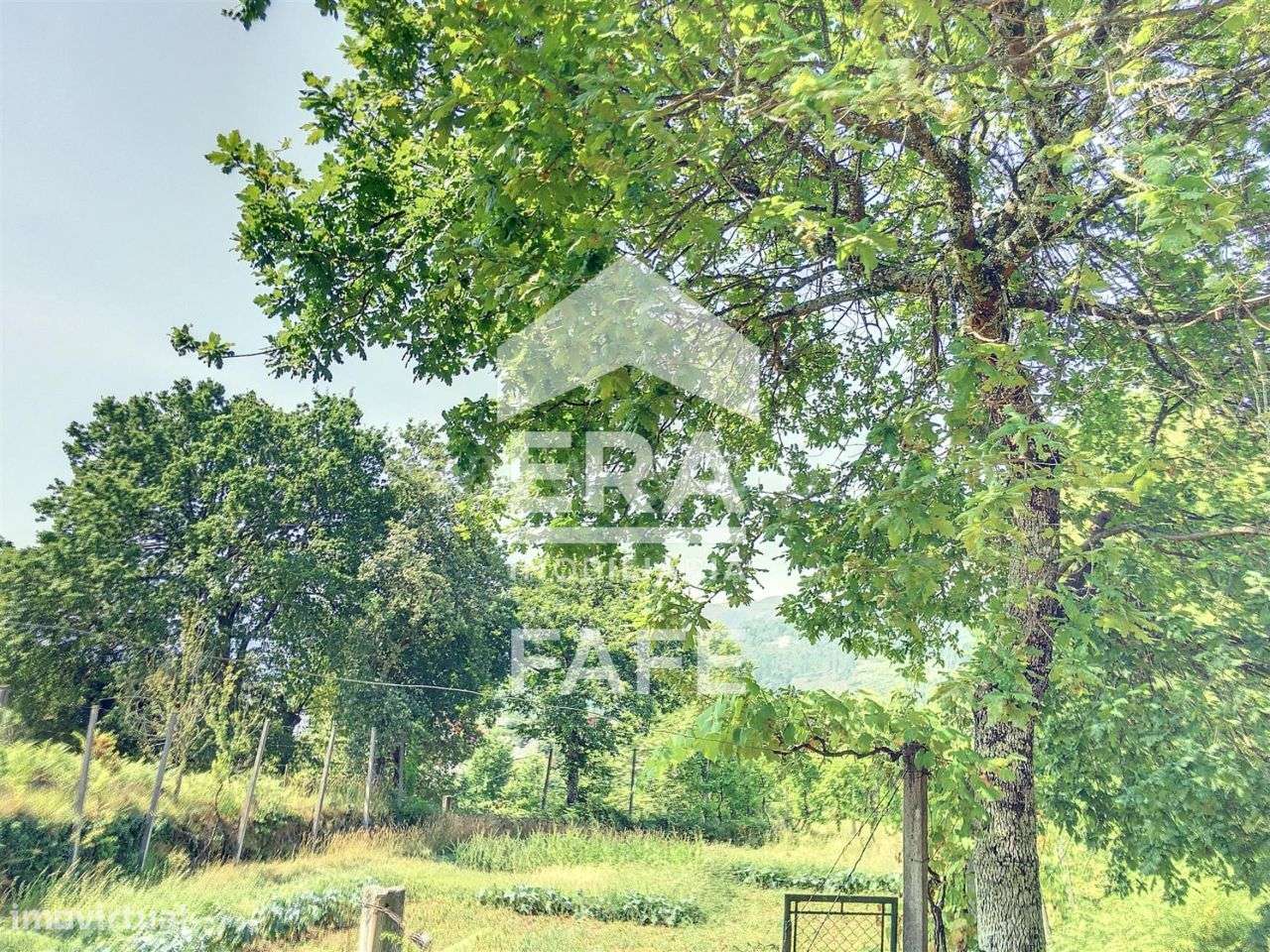 Terreno para construção com 1.200 m2 em Cabeceiras de Basto - Grande imagem: 5/10