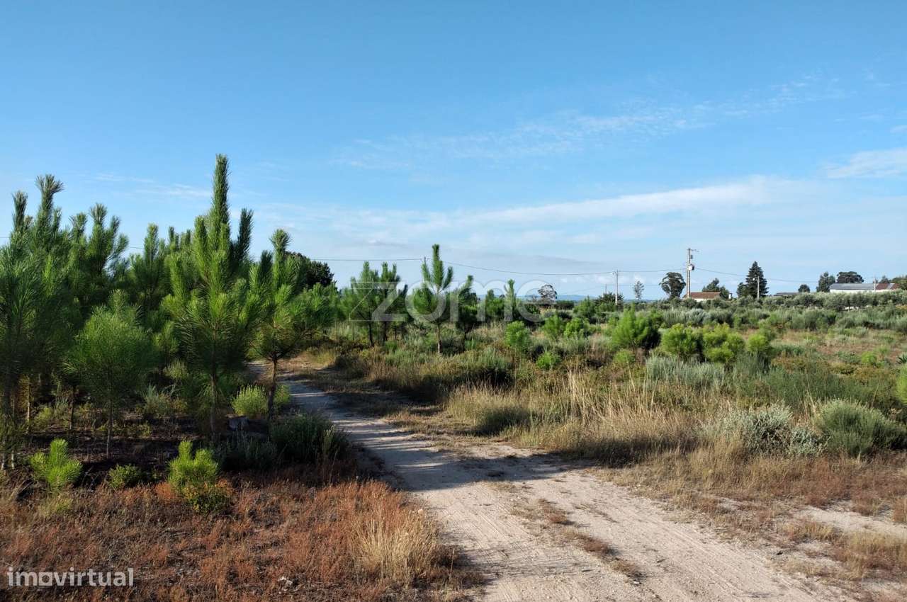 Terreno 1490m2 em Lagares - Coimbra - Grande imagem: 3/15