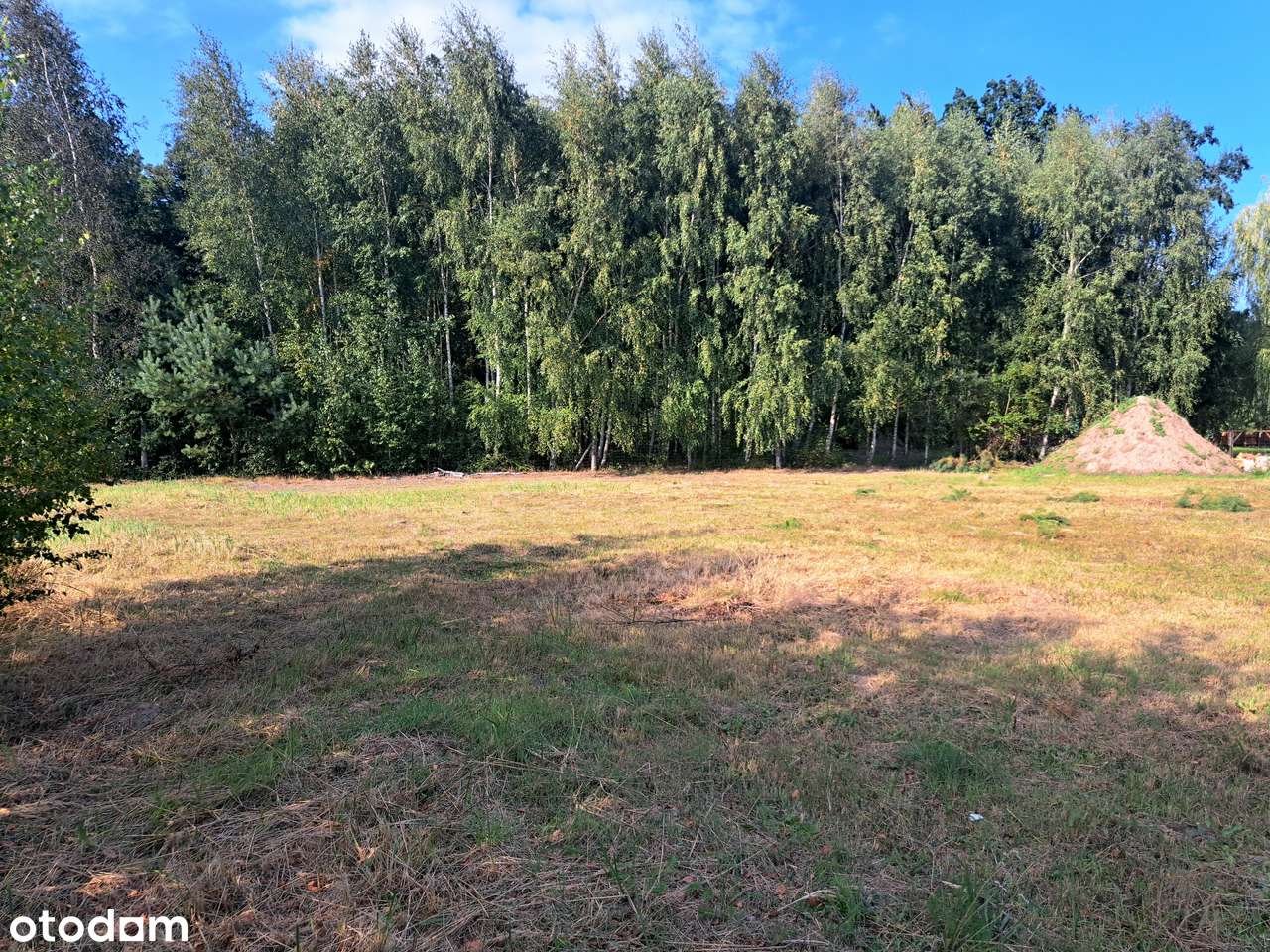 Działka budowlana 1000 m² - Wąsowo – tuż przy lesie! - Pełny obrazek: 5/6