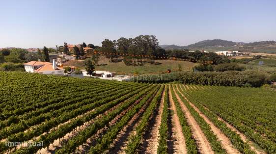 Terreno de Luxo com Projeto Aprovado para 25 apartamentos | Condomínio - Grande imagem: 2/5