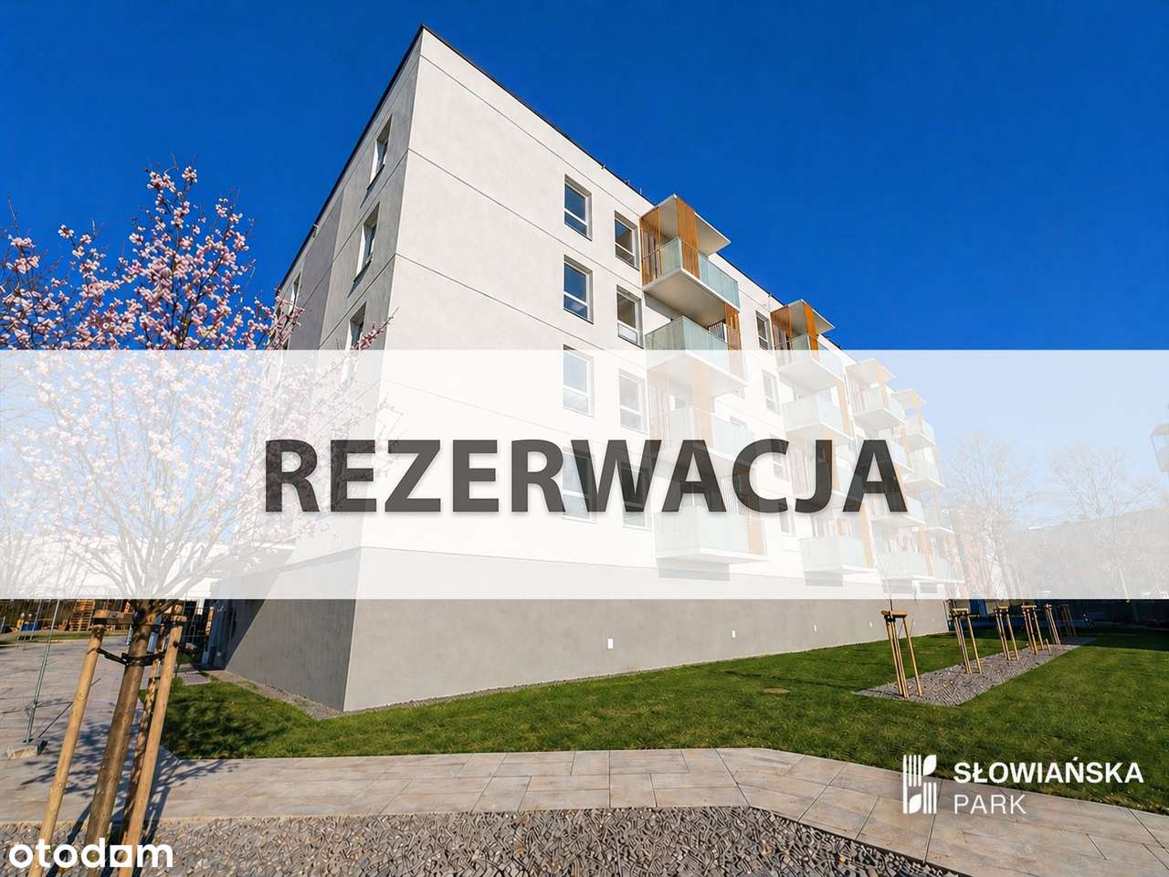 Słowiańska Park w Koszalinie – nowoczesne mieszkanie blisko morza–F.32