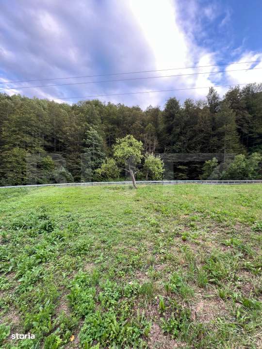 Casa 100 mp utili 4 camere 1,6 ha teren aproape de Trans Apuseana - Imagine principală: 5/7