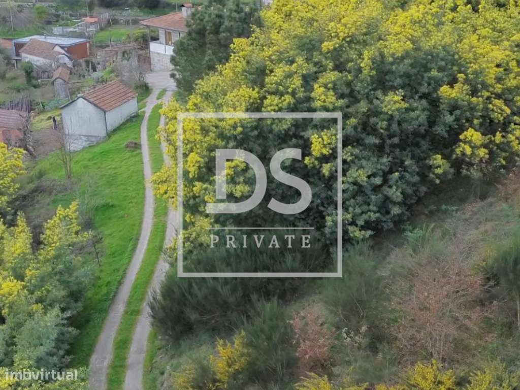 Terreno à Venda em Ovil, Baião – Uma Oportunidade Única! - Grande imagem: 3/4