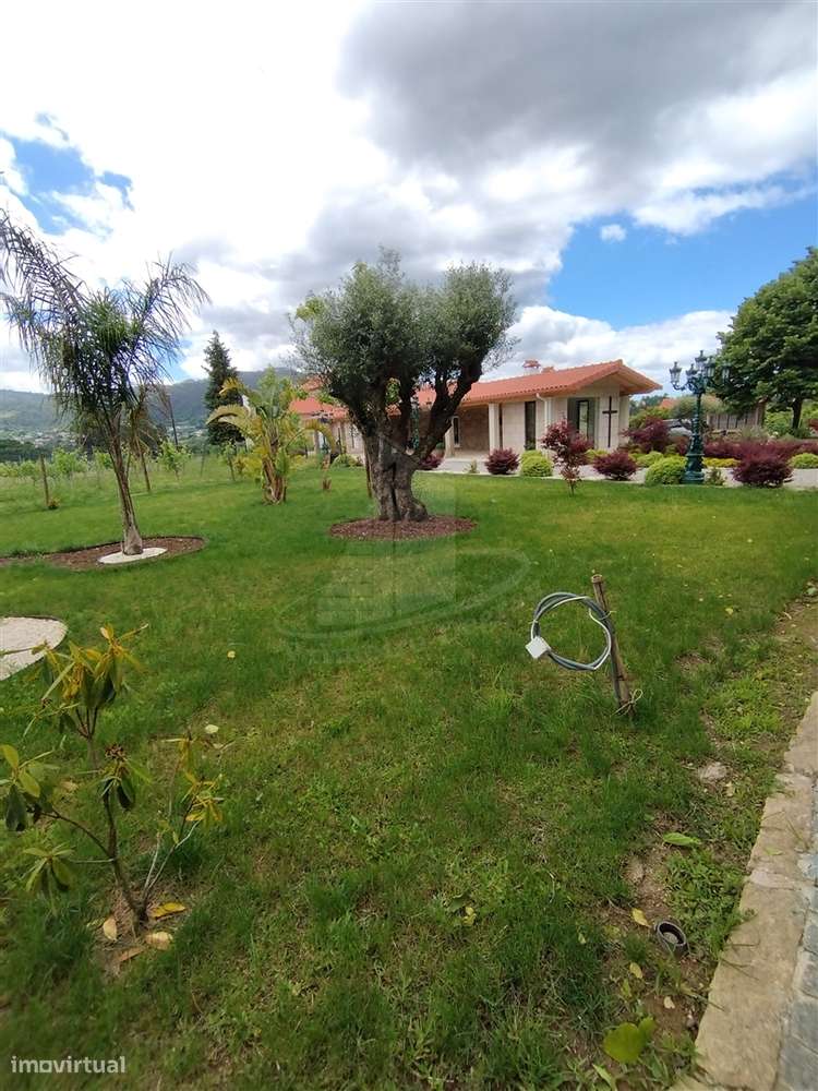 Um Paraíso no Alto Minho com 9 Hectares de Natureza e Produção de Vinh-49