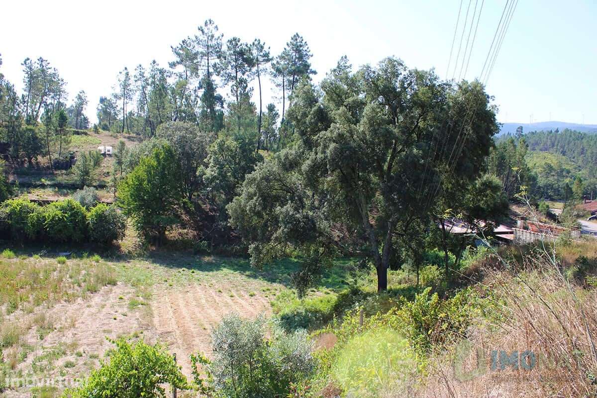 Lote de Terreno - Grande imagem: 4/15