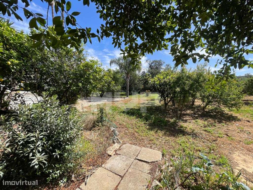 Quinta com 3 quartos e forno em Santa Bárbara de Nexe, Faro.-49
